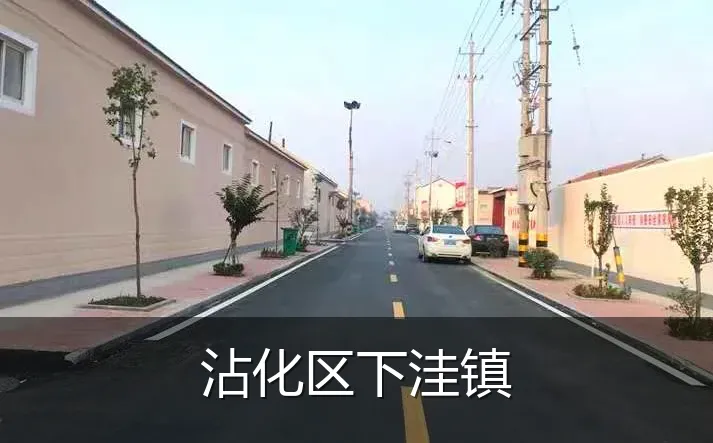 沾化区下洼镇